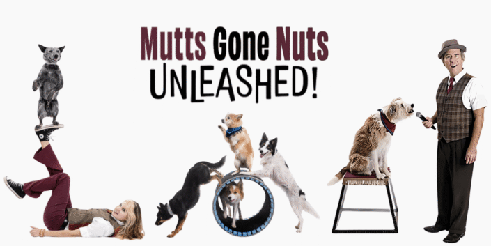 Mutts Gone Nuts Unleashed!